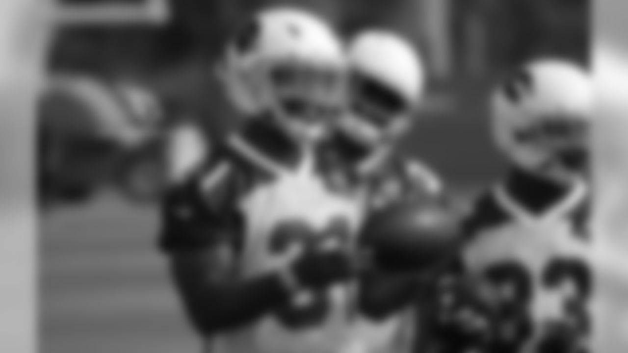 RB David Johnson
