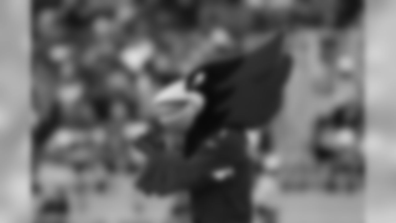 Cardinals mascot Big Red performs during the NFL Pro Bowl football game, Sunday, Jan. 26, 2020, in Orlando, Fla. The AFC team won 38-33.