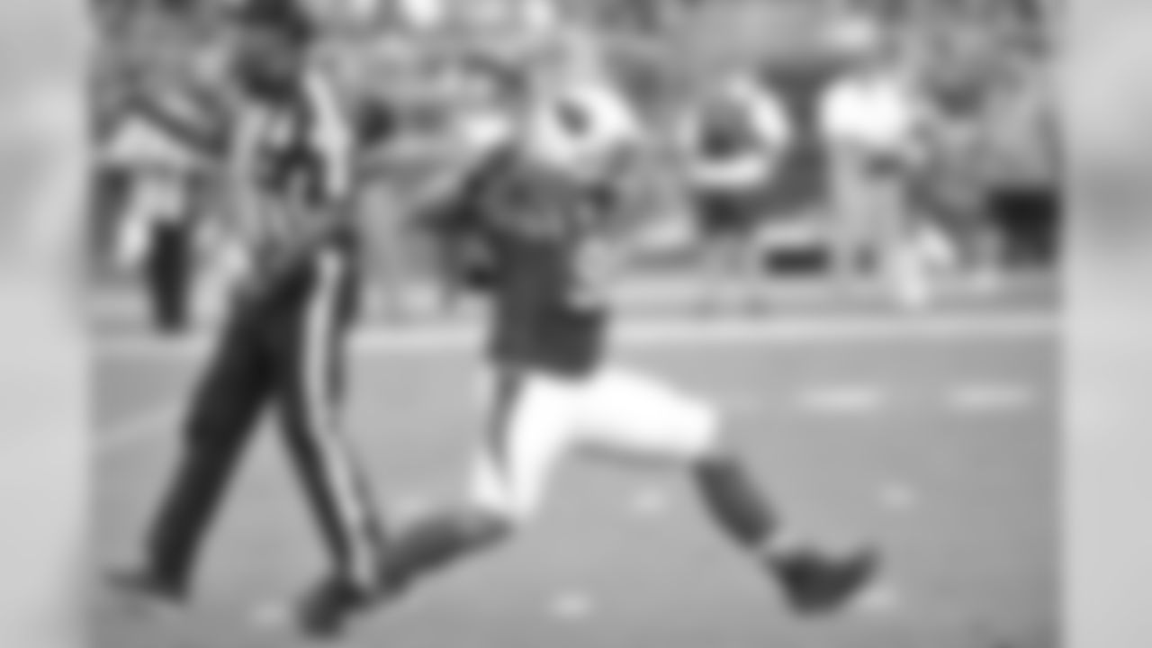 DT Darnell Dockett celebrates a sack against the Falcons.