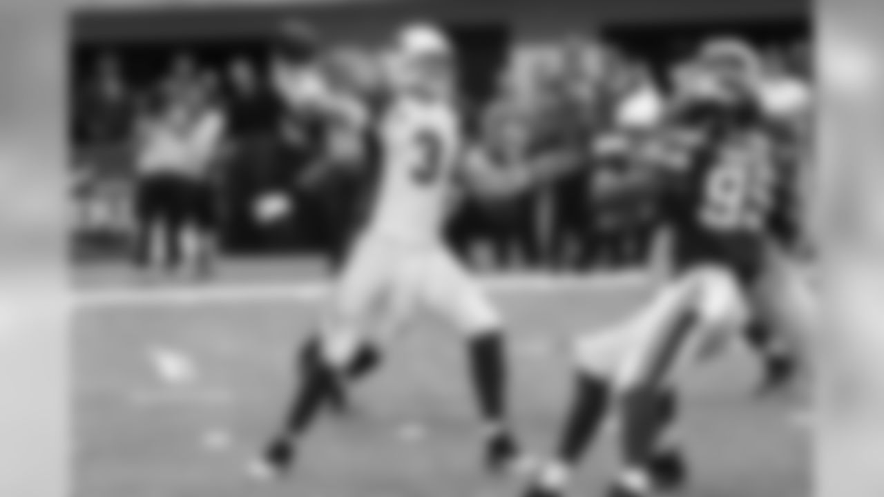 Palmer against the Vikings
