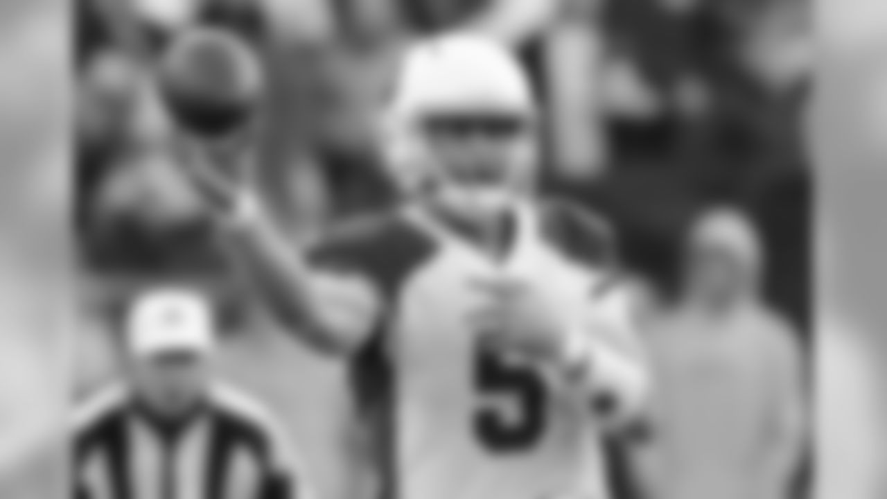 Cardinals QB Drew Stanton