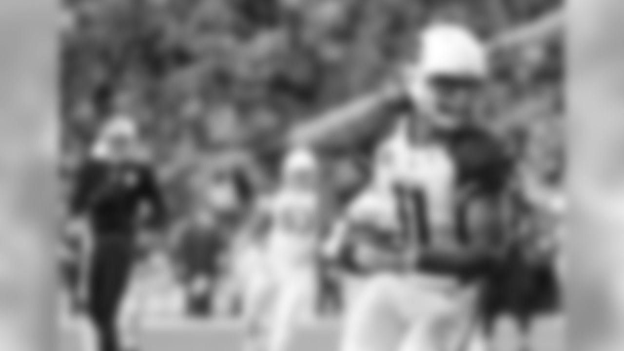 WR Larry Fitzgerald