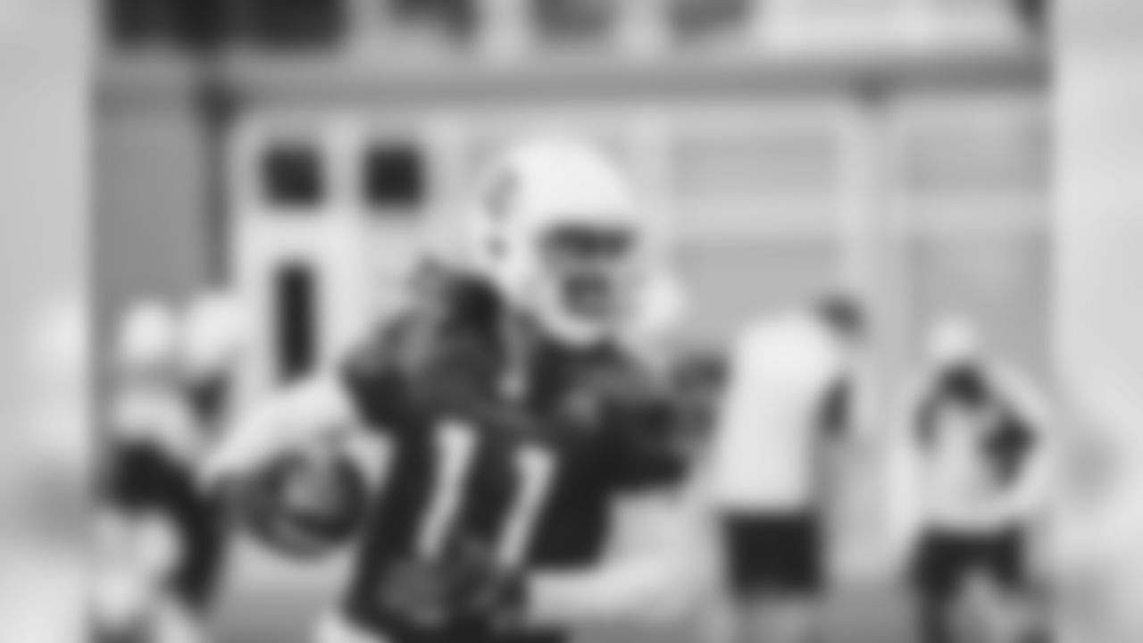 WR Larry Fitzgerald
