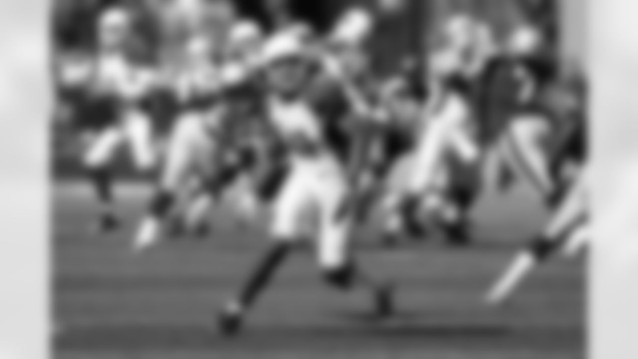 WR Larry Fitzgerald