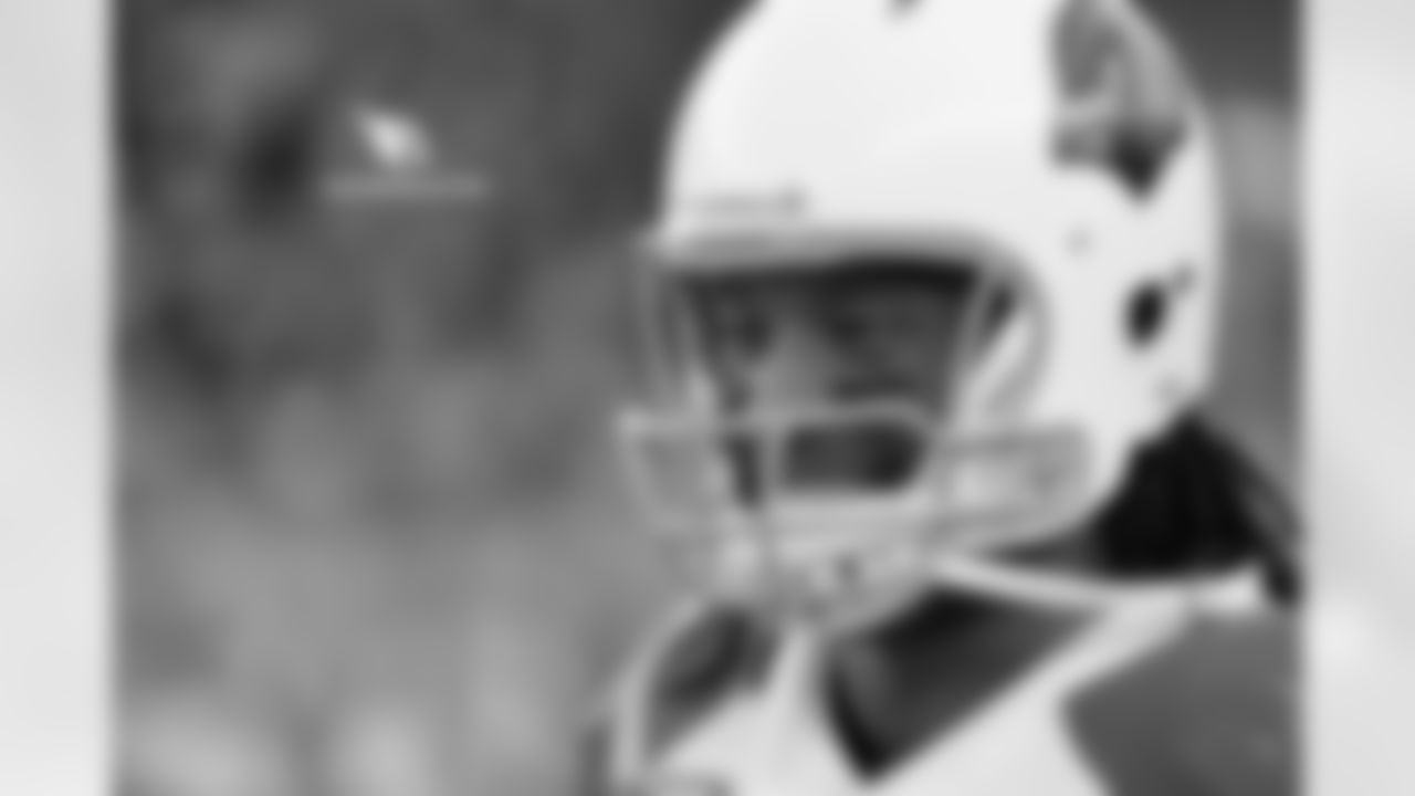 WR Larry Fitzgerald