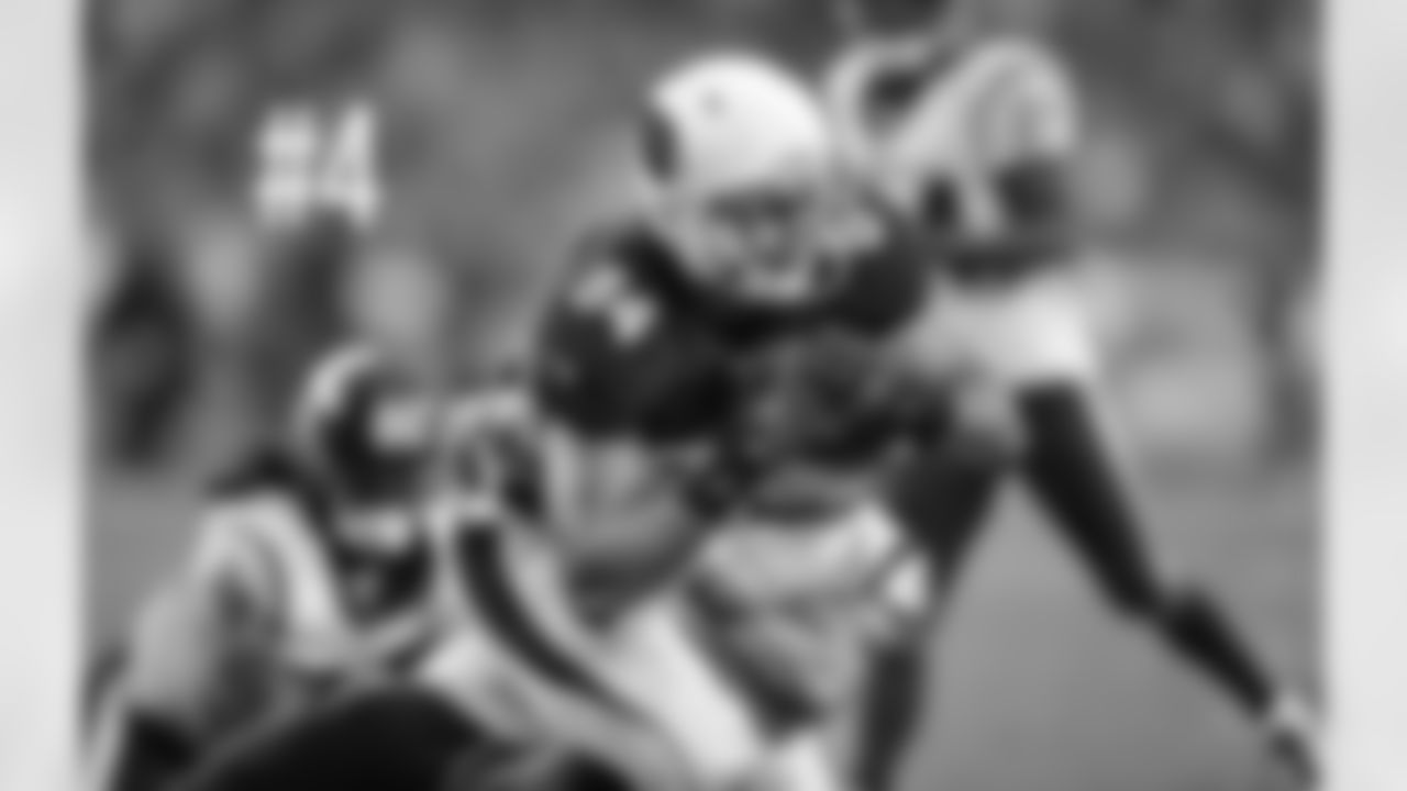 TE Rob Housler fights for yards