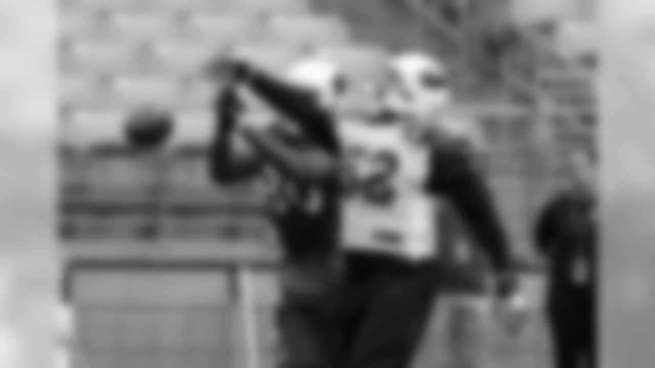 LB LaMarr Woodley breaks up a pass