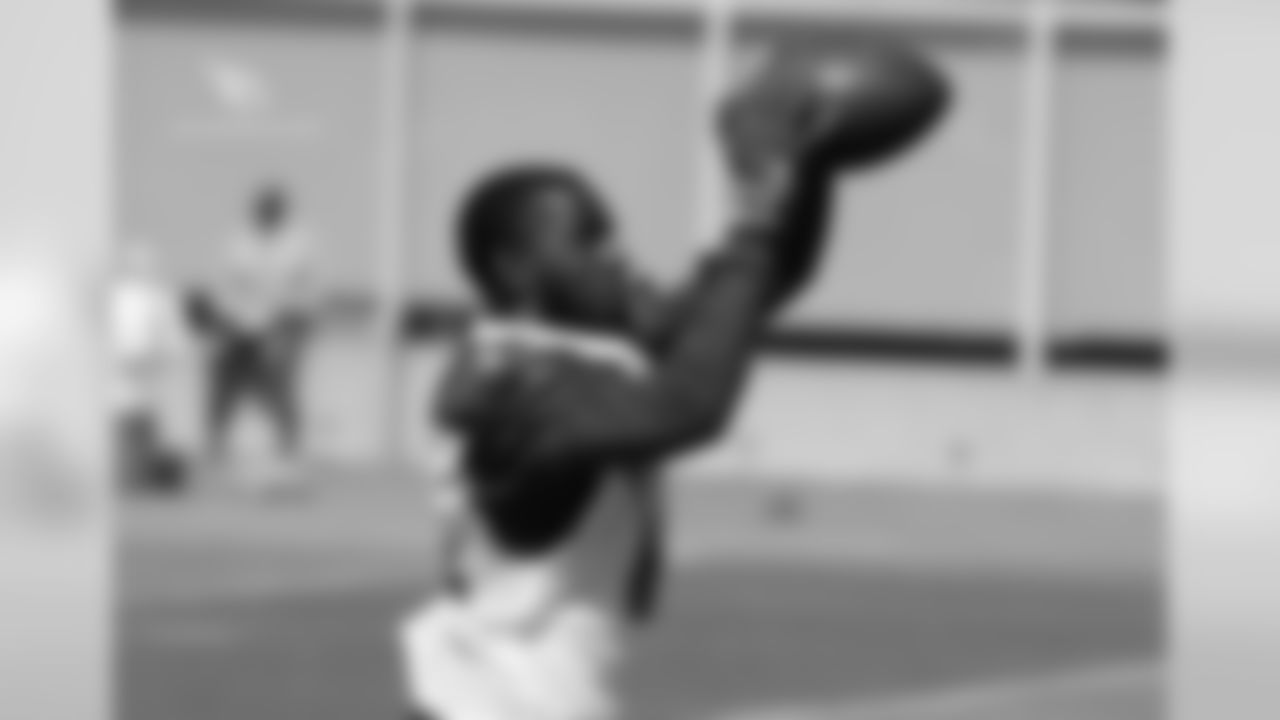 WR J.J. Nelson