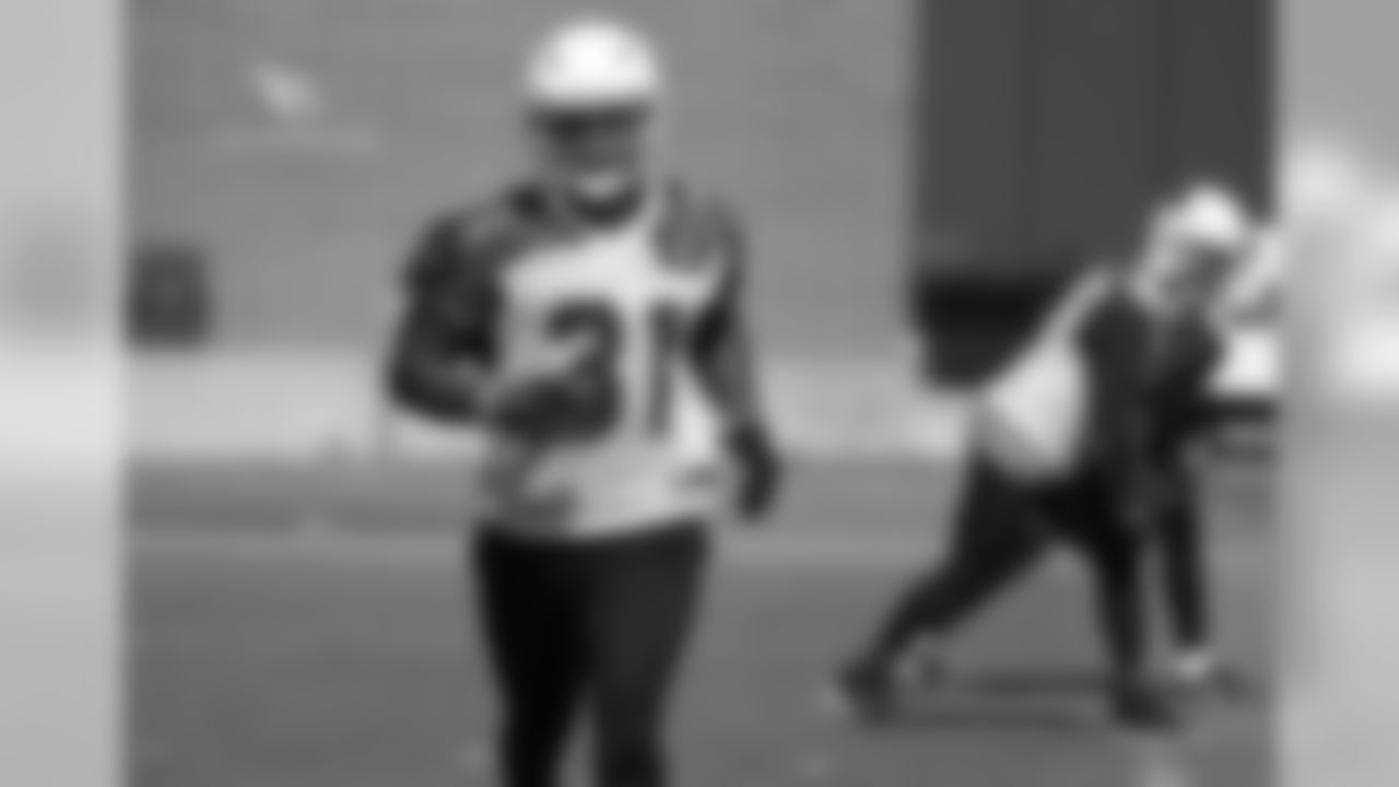RB David Johnson