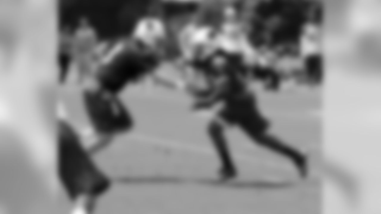 RB Andre Ellington gets the handoff from QB Carson Palmer