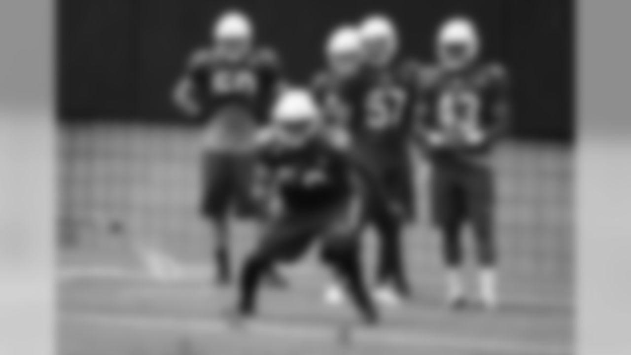 LB Karlos Dansby