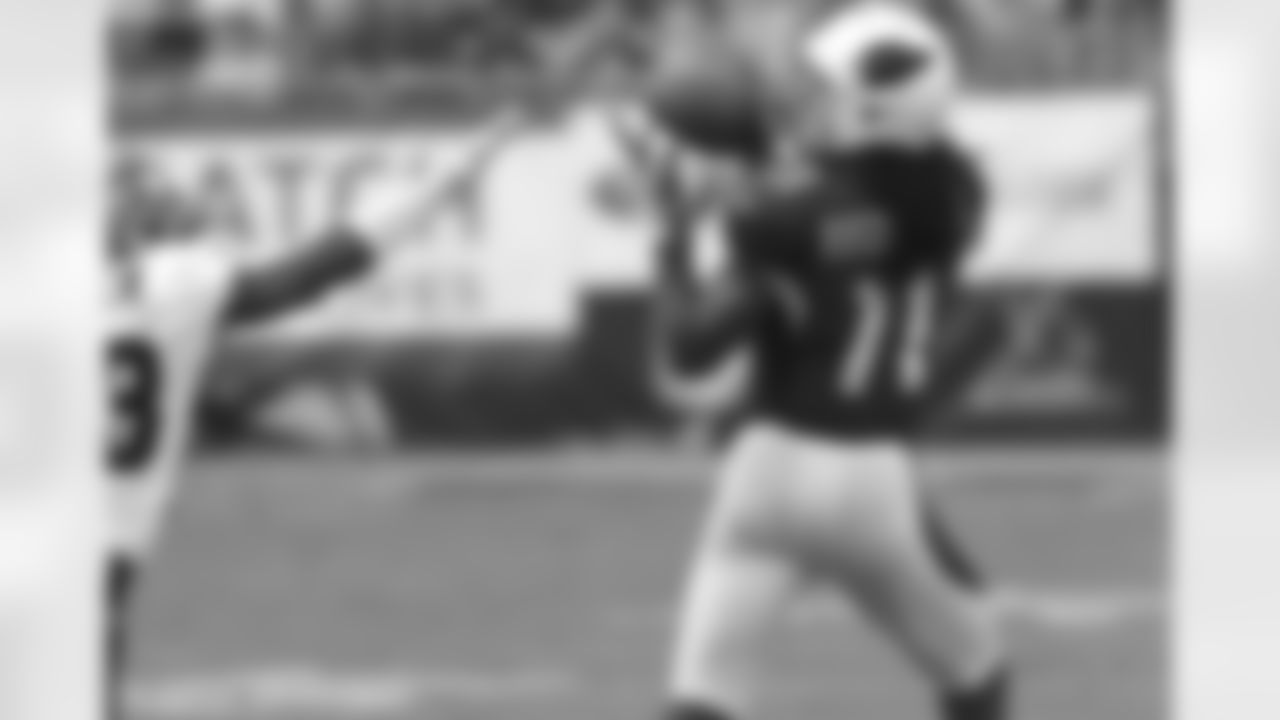 Larry Fitzgerald 2010