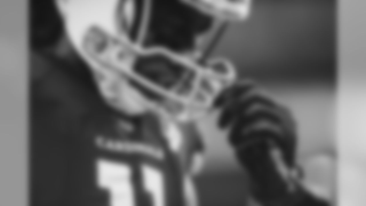 WR Larry Fitzgerald