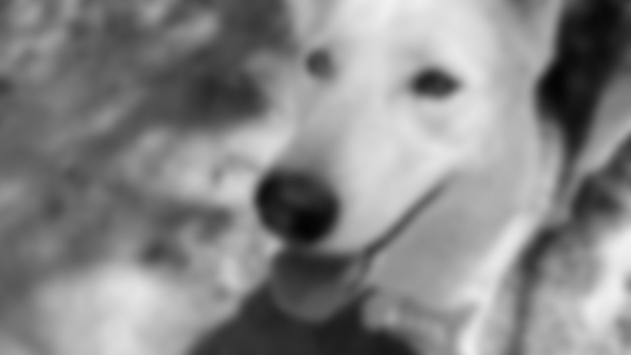 FALKOR