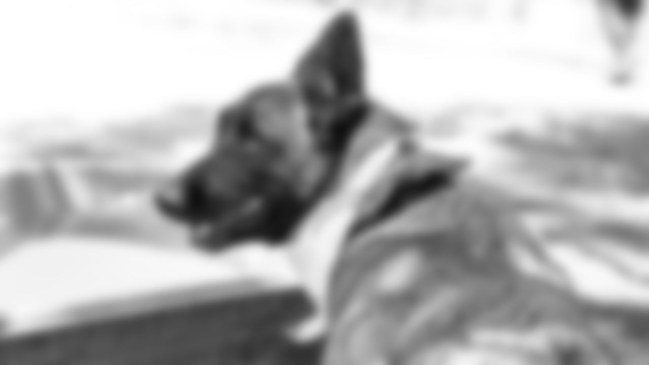 FRIDA