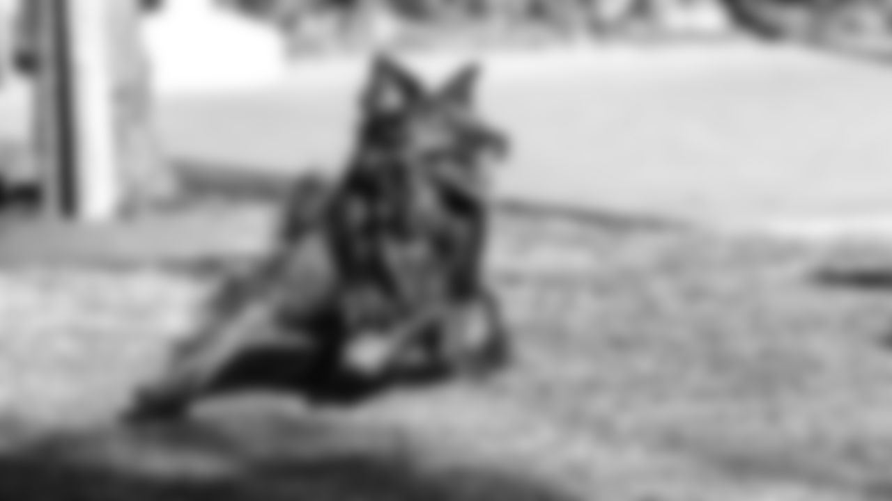 211012_PetSpace_MH_079