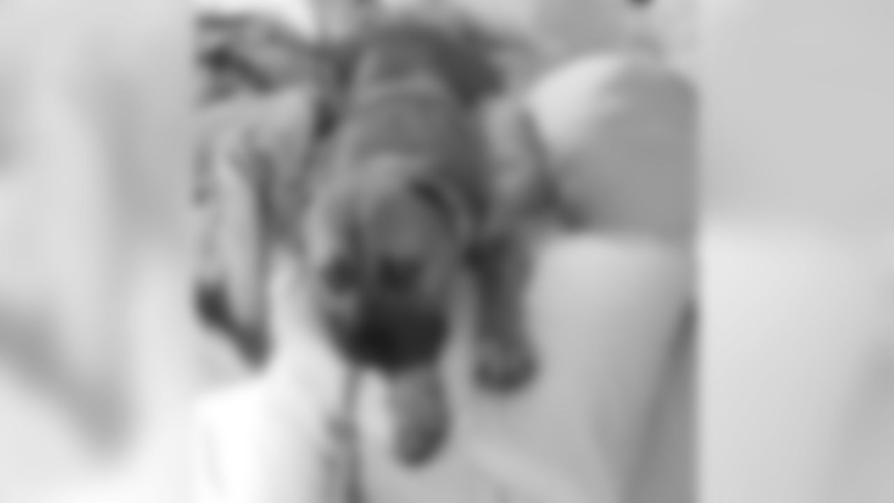 Forrest Lamp's dog Leo.