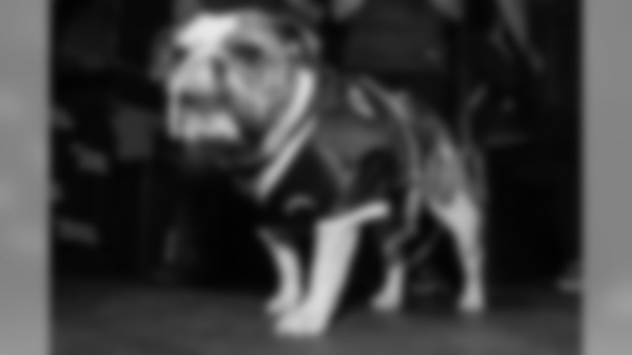 Image from iOS (152)