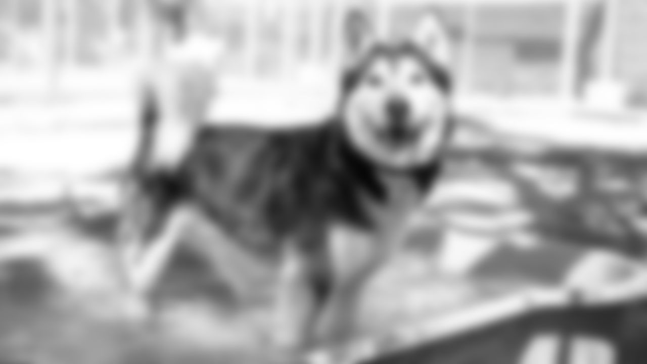 SHILO