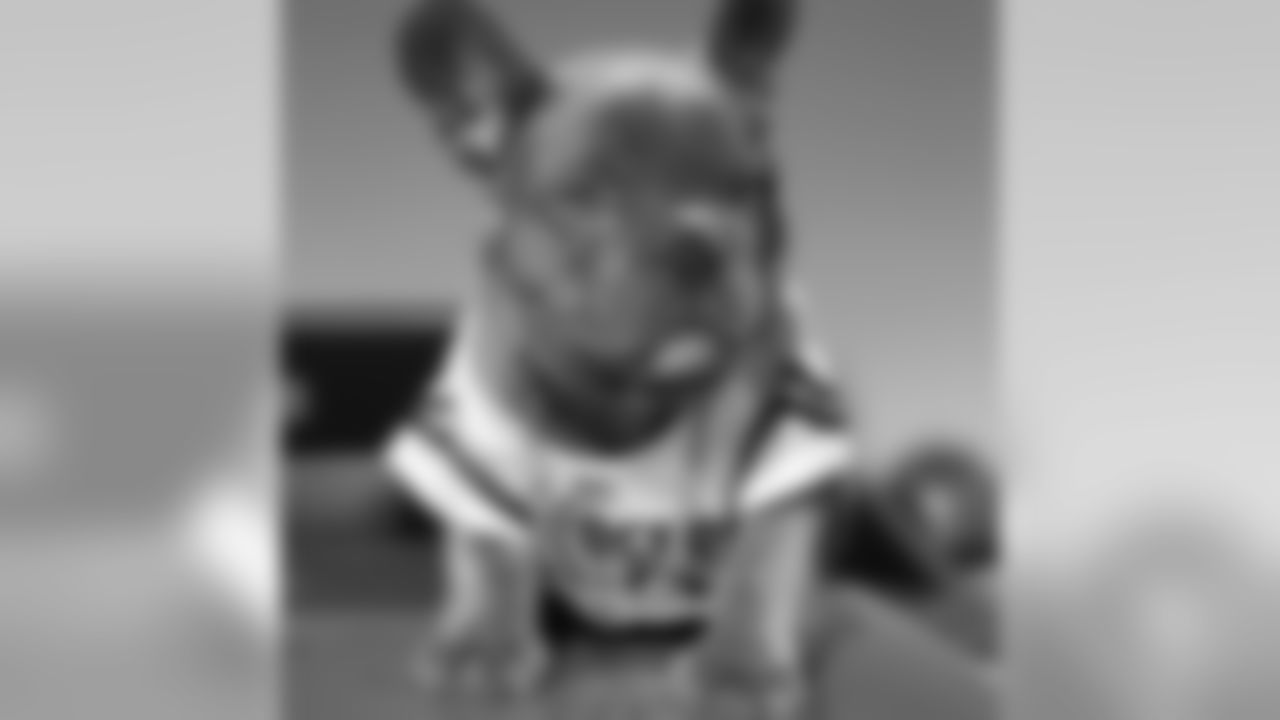 Hayes Pullard's dog Louie.