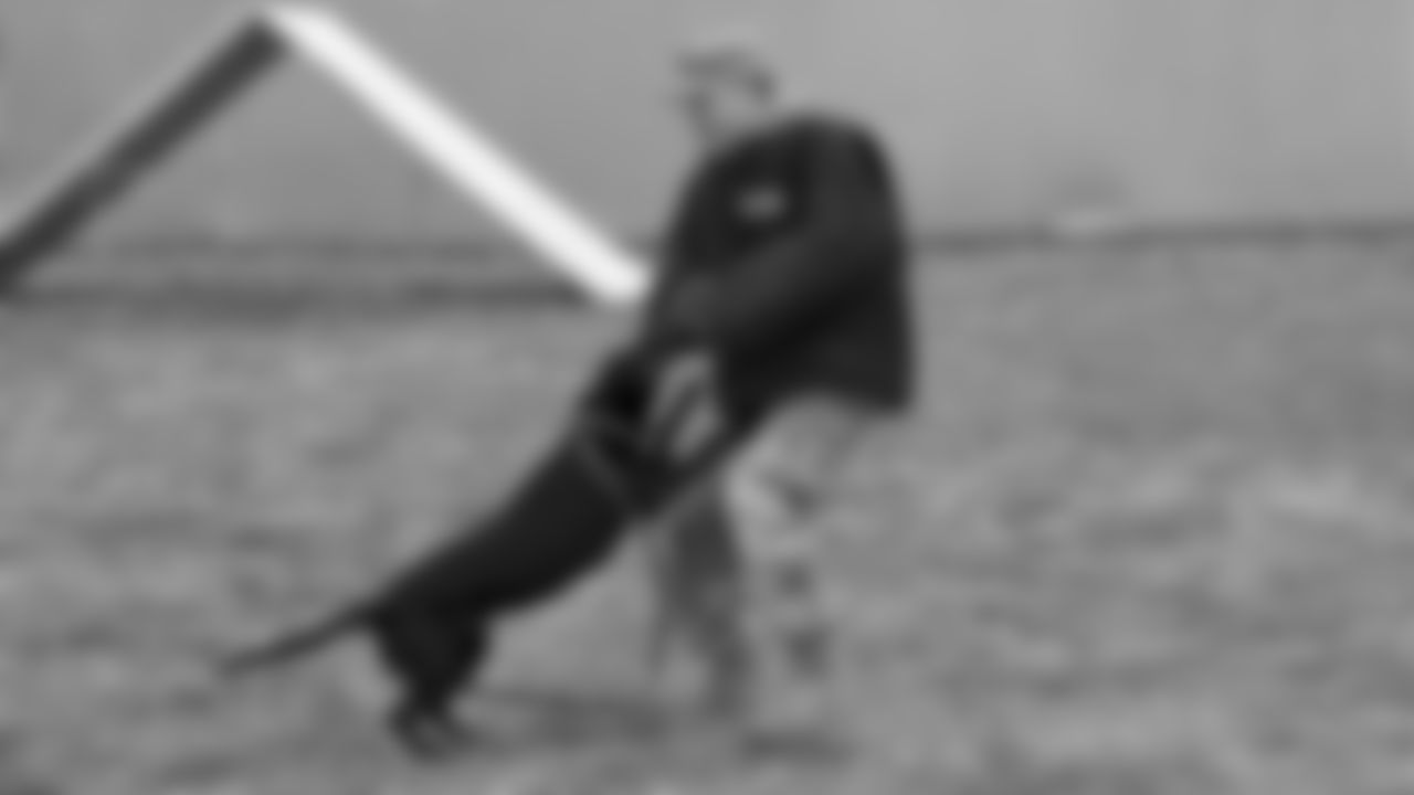 006_2019_RB_LVW