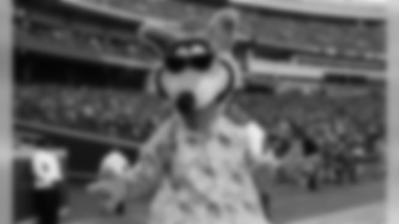 Kansas City Chiefs vs Minnesota Vikings at Arrowhead Stadium, November 3, 2019