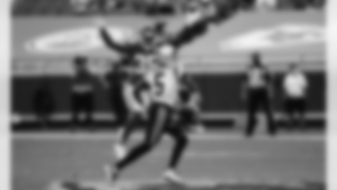 Kansas City Chiefs vs. Carolina Panthers, Arrowhead Stadium, Kansas City, MO., November 8th 2020