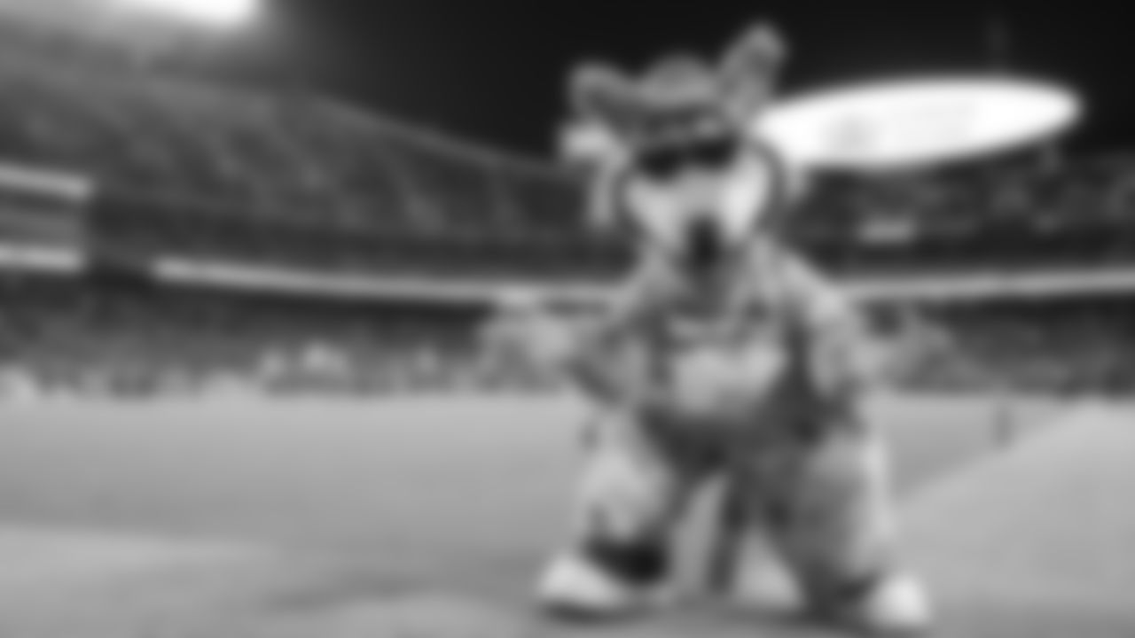 KC Wolf during an NFL preseason football game against the Minnesota Vikings, Friday, August 27, 2021 in Kansas City.
