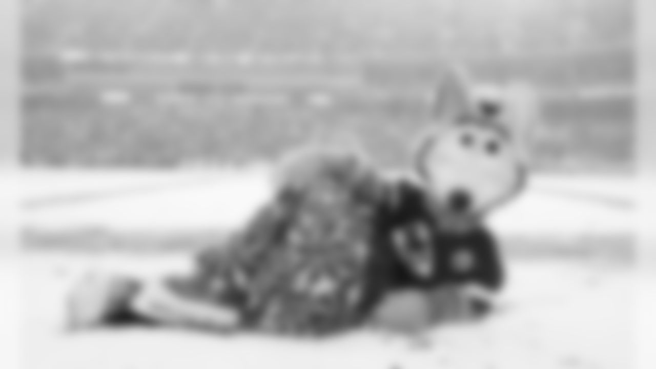 KC Wolf after the game between the Kansas City Chiefs and the Denver Broncos at Arrowhead Stadium on December 15, 2019.
