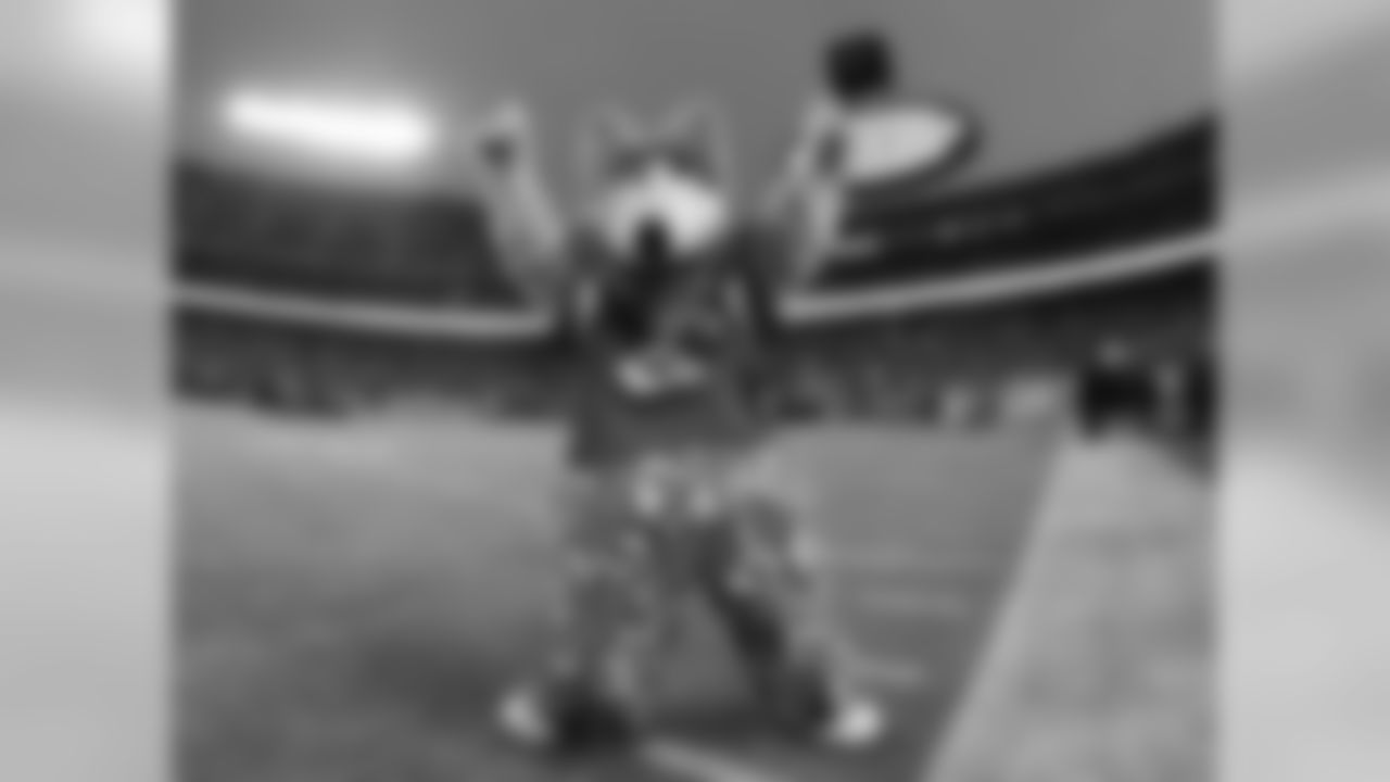 009_20190120_AFCCheer_KCvNE