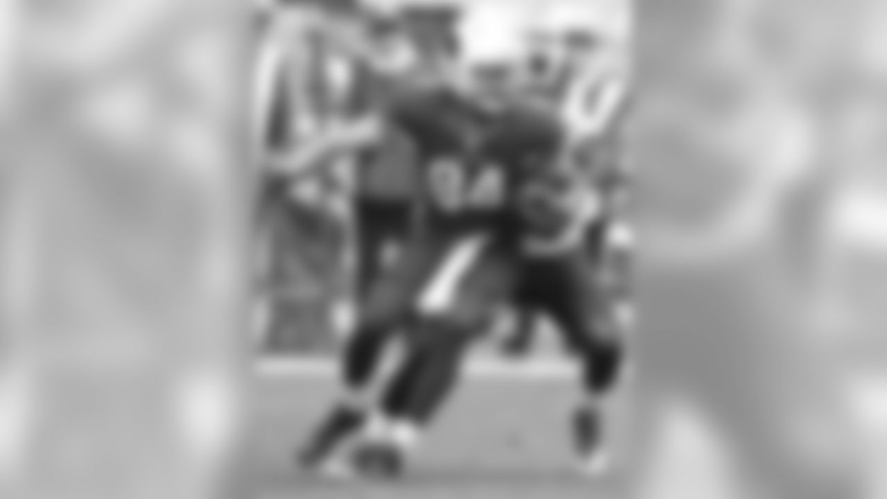TE Rob Housler