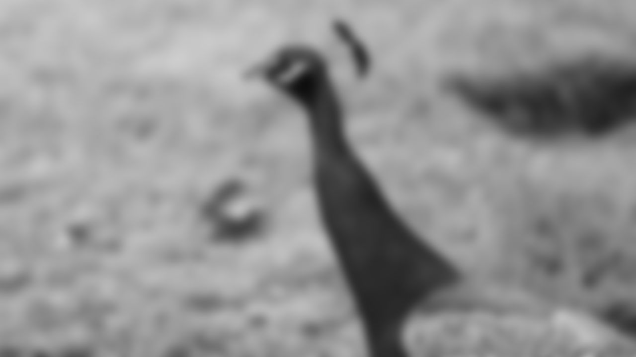 015_2019CC_BTS