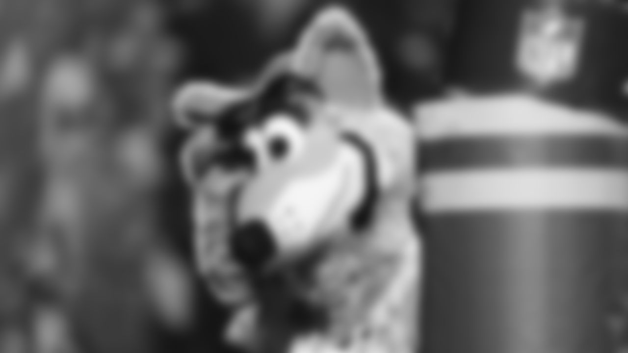 KC Wolf reacts during an NFL football game against the Pittsburgh Steelers, Sunday, December 26, 2021 in Kansas City.