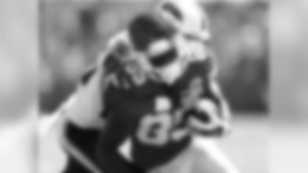 WR, Frankie Hammond Jr
