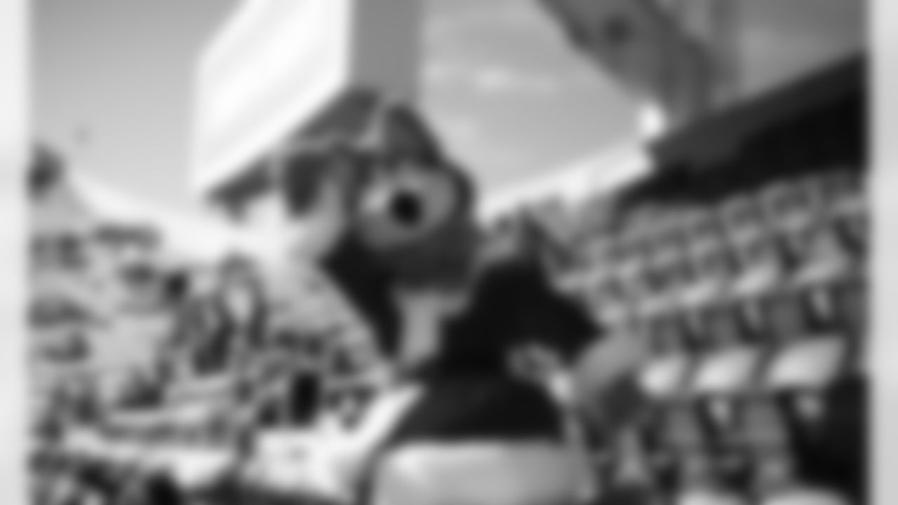 Kansas City Chiefs vs. Atlanta Falcons, Arrowhead Stadium, Kansas City, MO., December, 27h 2020