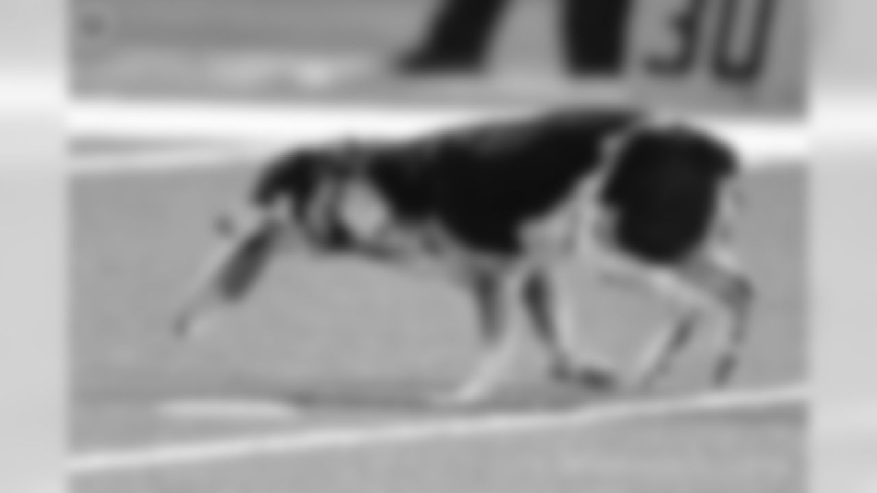 2018_0820_BAL_4569