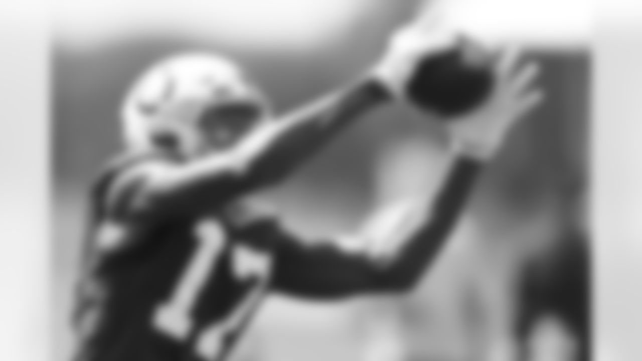 17 WR Mike Strachan