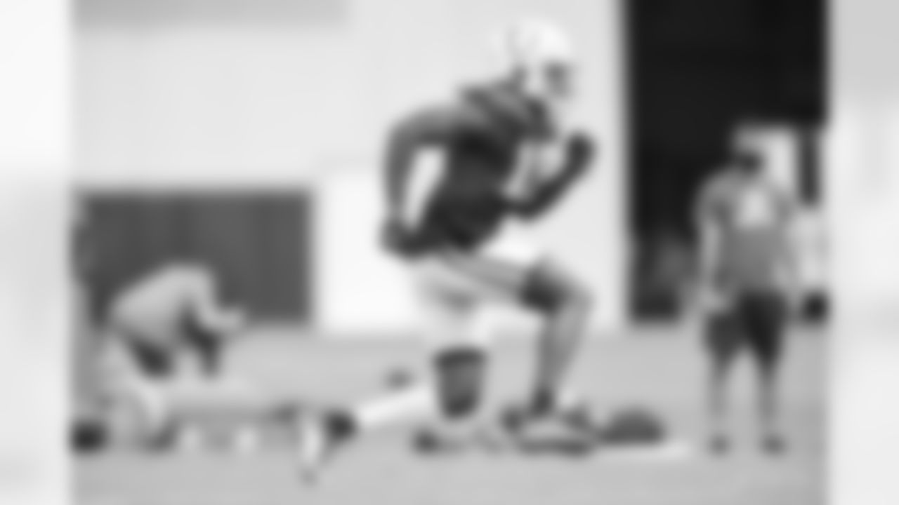 10 WR Daurice Fountain