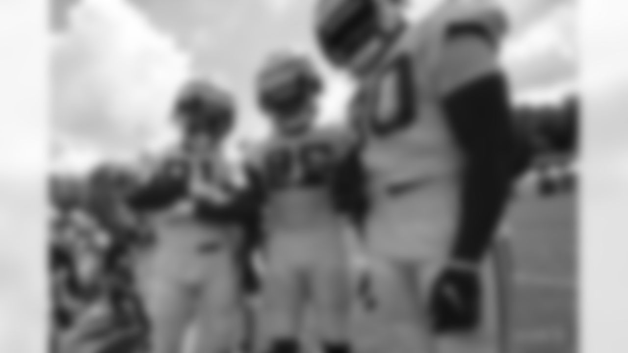 81 TE Mo Alie-Cox, #85 TE Drew Ogletree, #80 TE Jelani Woods