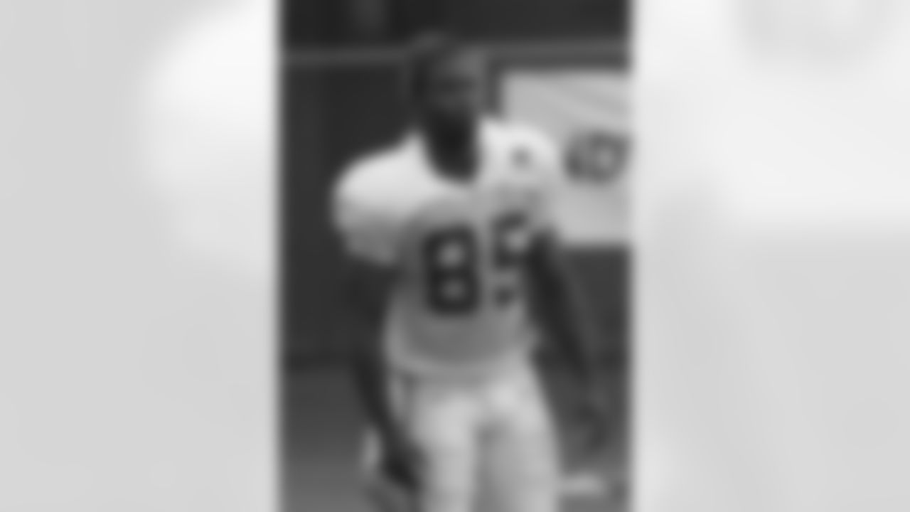 Pierre Garcon-1
