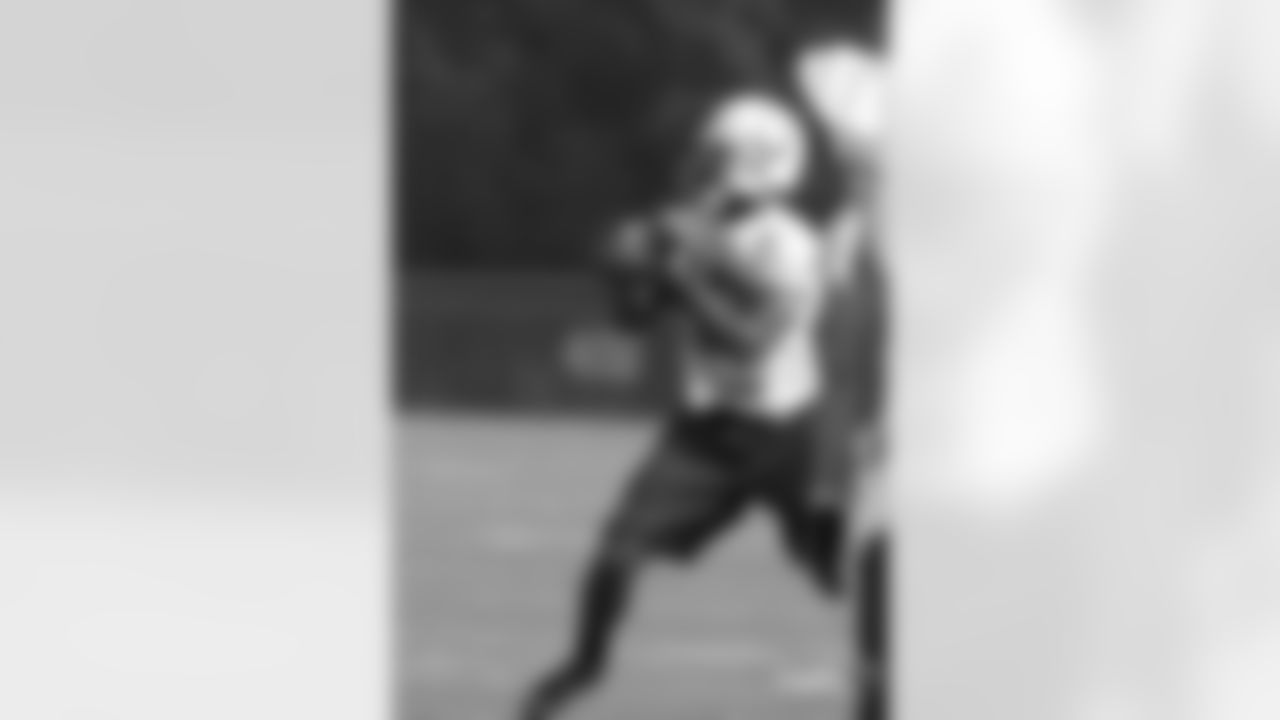 Pierre Garcon-1