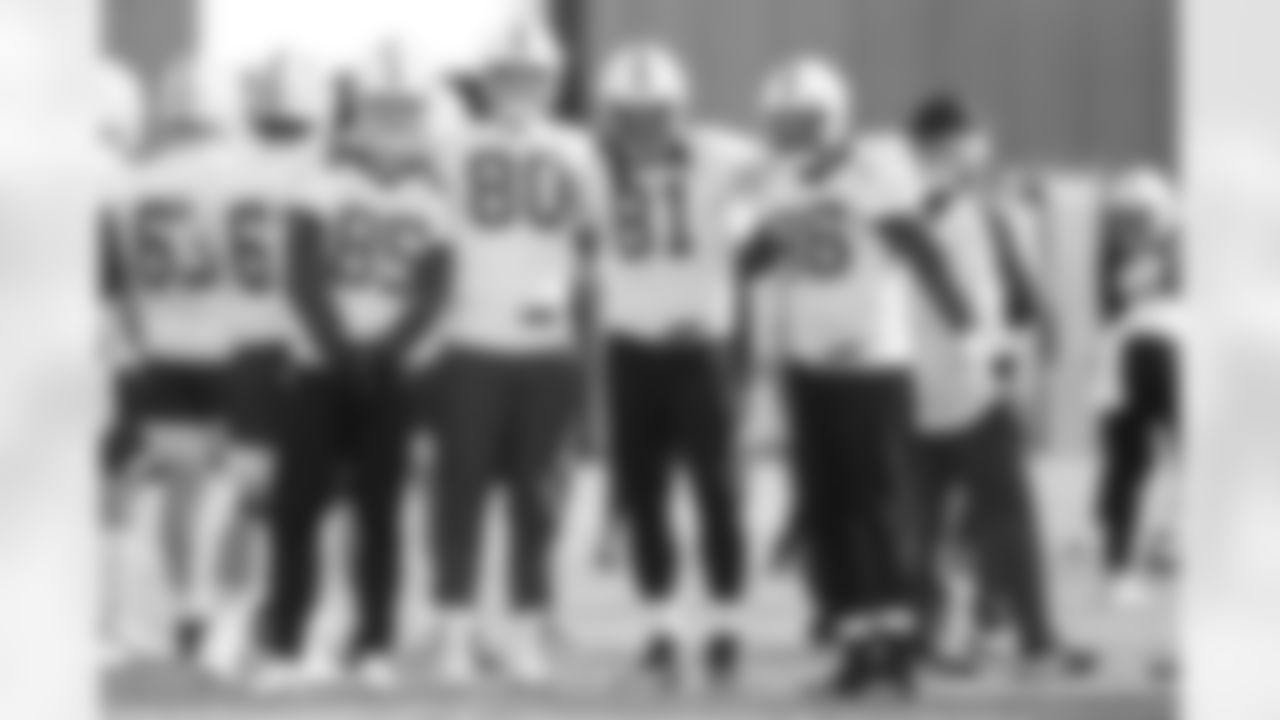 85 TE Eli Wolf, #80 TE Michael Jacobson, #81 TE Mo Alie-Cox, #86 TE Farrod Green