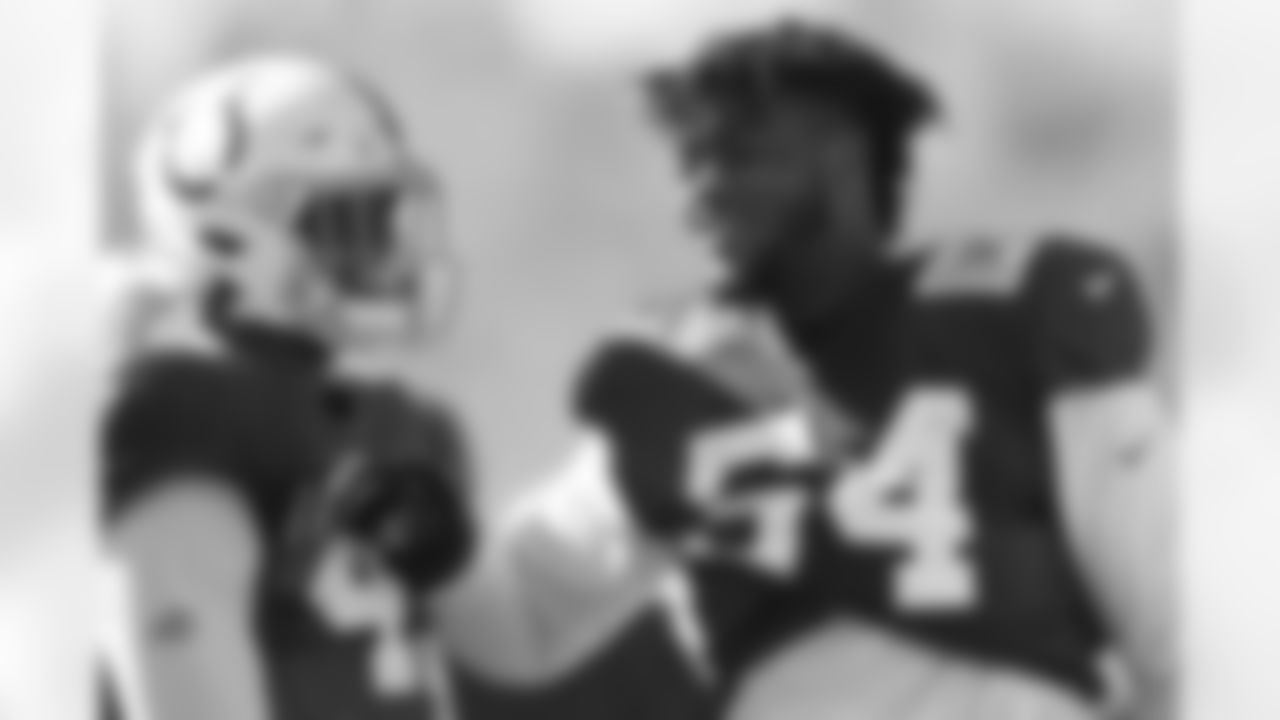 45 LB E.J. Speed, #54 DE Dayo Odeyingbo