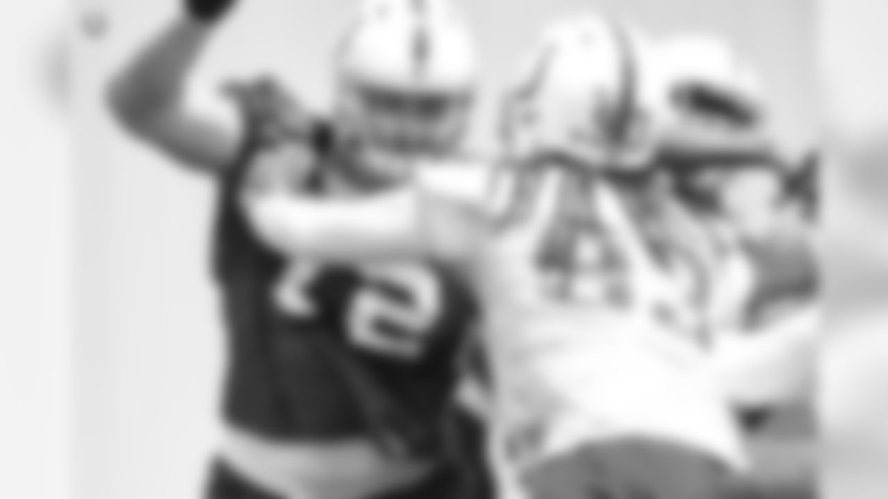 Day 2 of Veteran Minicamp