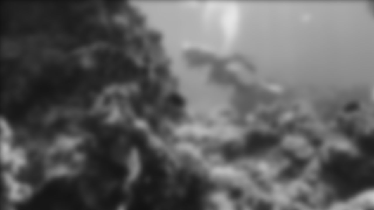 tempGirls-Red-Fish.jpg