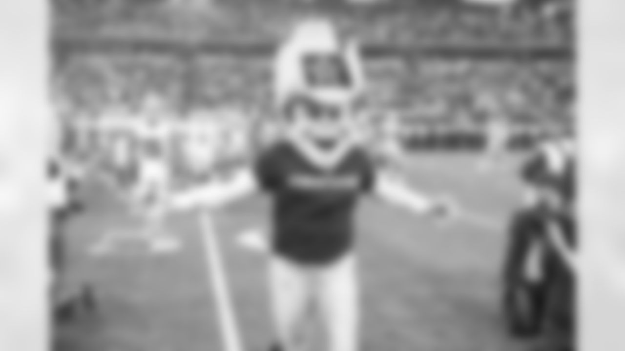 04 January 2015: Rowdy
of the Dallas Cowboys during the Cowboys 24-20 win over the Detroit Lions in a Wild Card Playoff game at AT&T Stadium in Arlington, Texas. Photo by James D. Smith/Dallas Cowboys