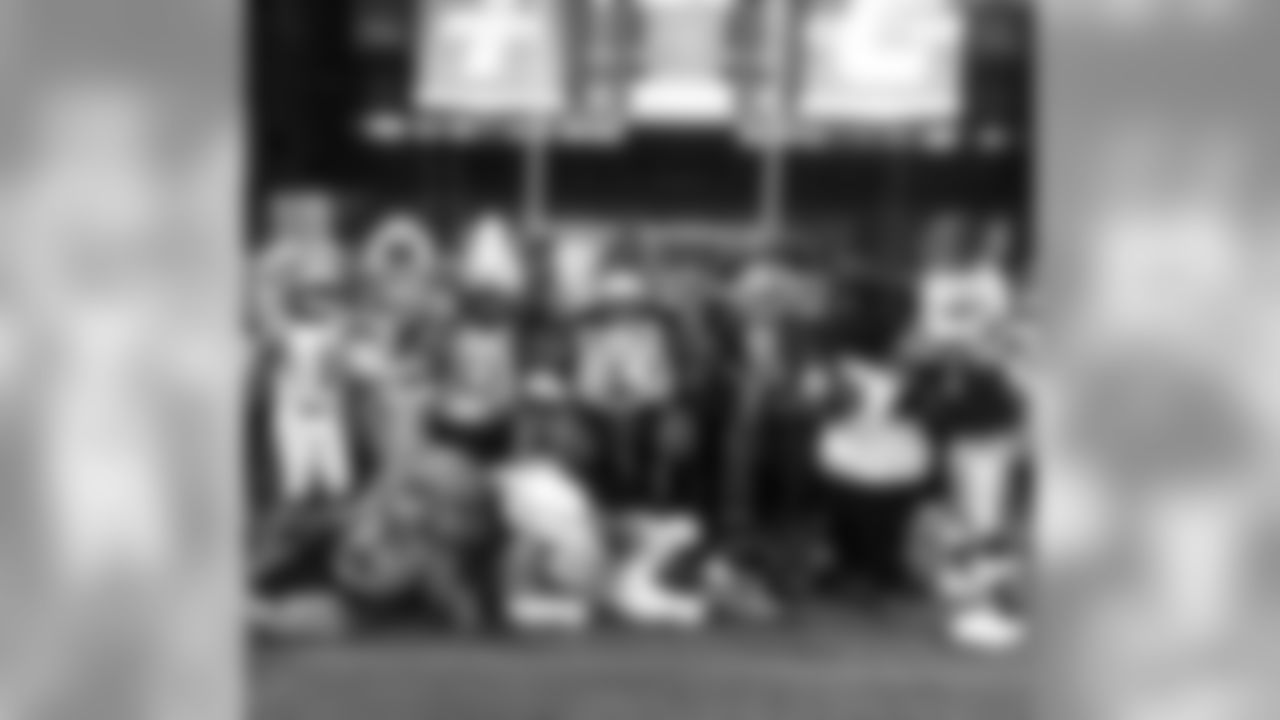 rowdy_photo_-_pro_bowl_mascots_group_pic_after_game_2015_0.jpg
