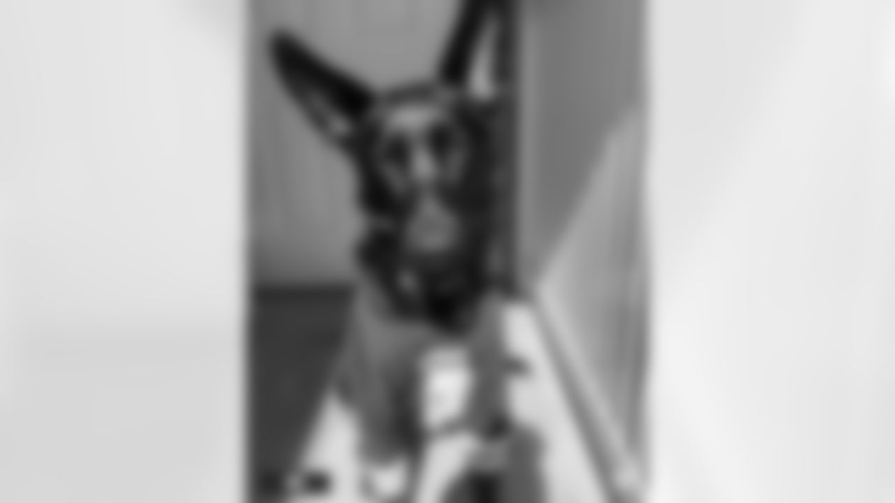 ava