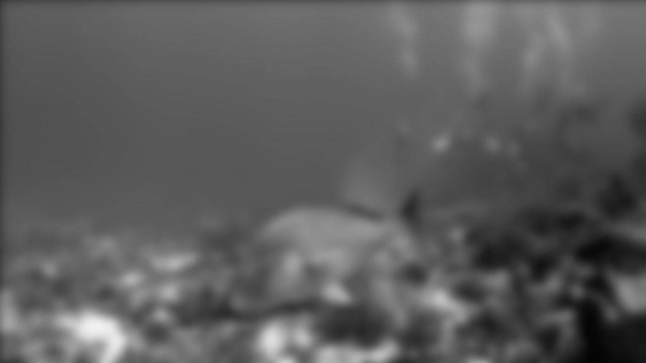 tempFish-with-Divers-in-BKG.jpg