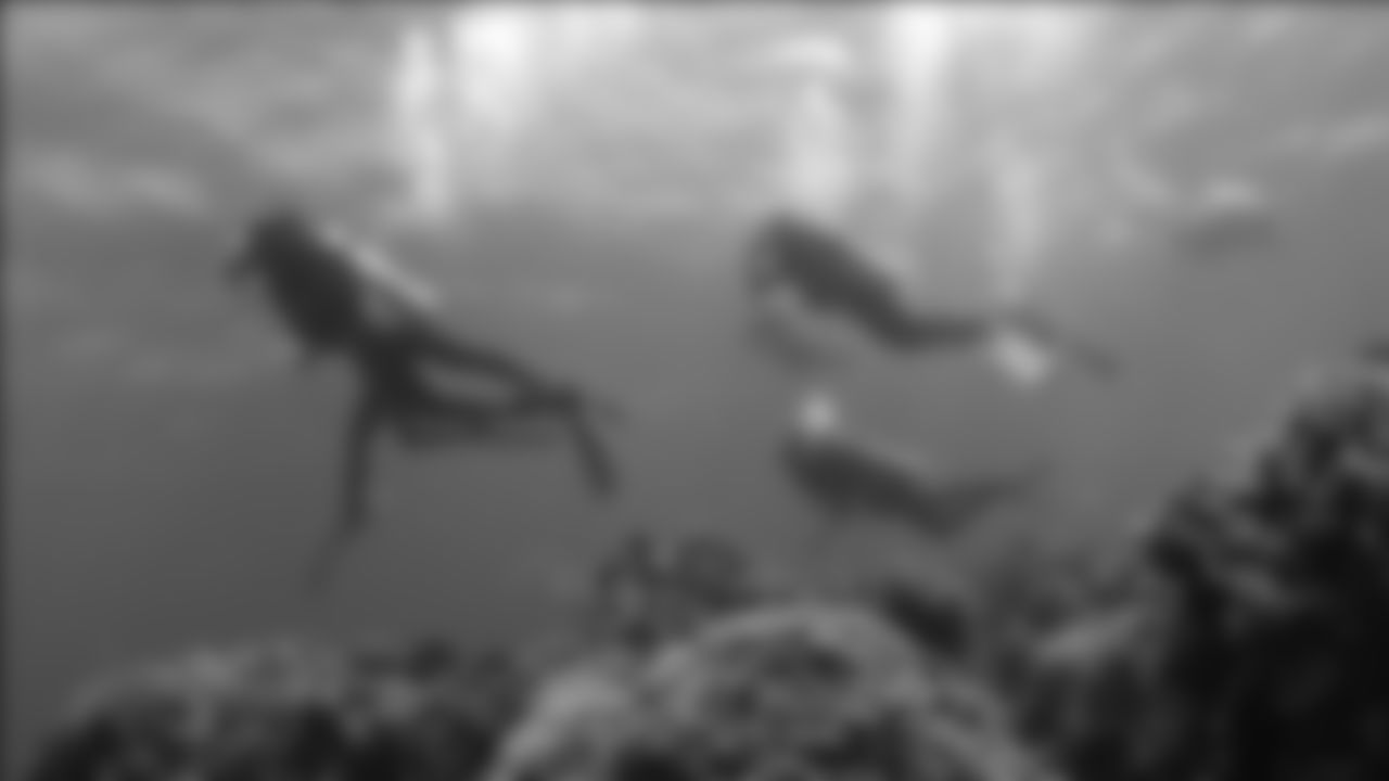 tempCoral-and-Divers.jpg